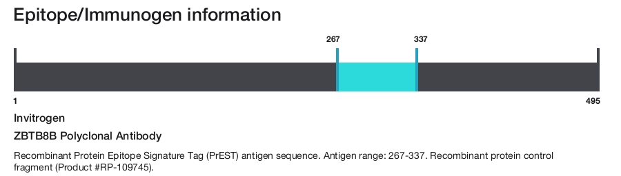 ZBTB8B Polyclonal Antibody