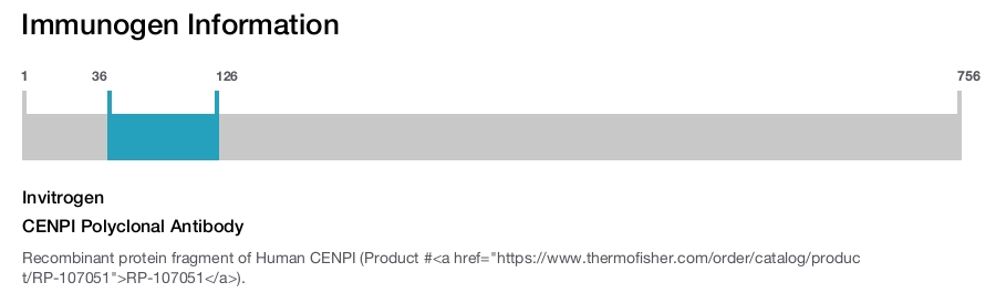 CENPI Polyclonal Antibody