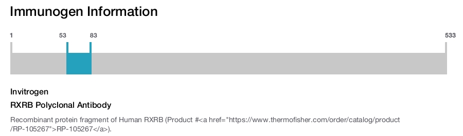 RXRB Polyclonal Antibody