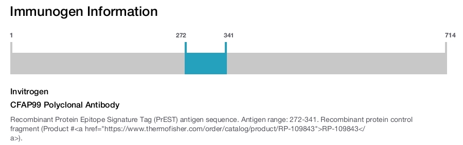 CFAP99 Polyclonal Antibody