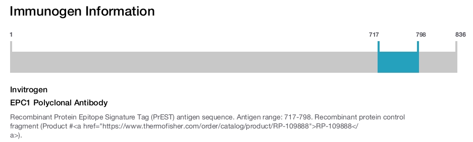 EPC1 Polyclonal Antibody