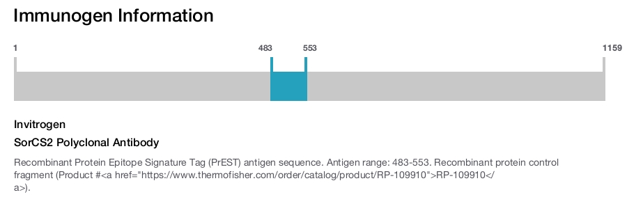 SorCS2 Polyclonal Antibody