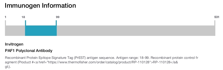 PAF1 Polyclonal Antibody