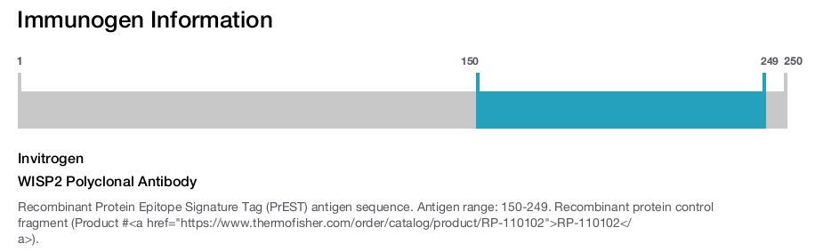 WISP2 Polyclonal Antibody