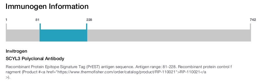 SCYL3 Polyclonal Antibody