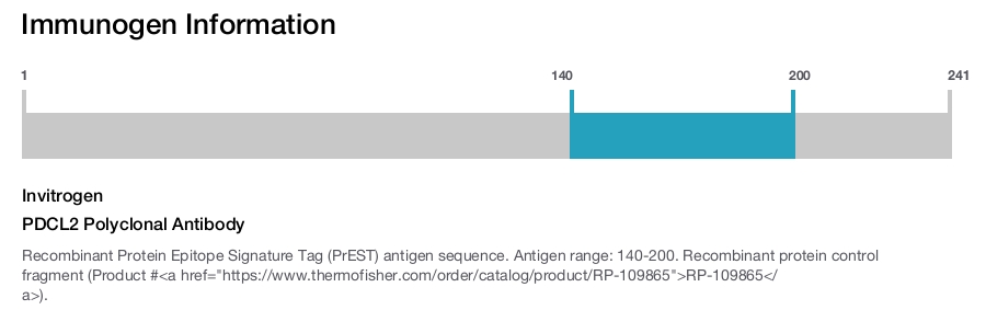 PDCL2 Polyclonal Antibody