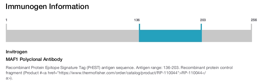 MAF1 Polyclonal Antibody