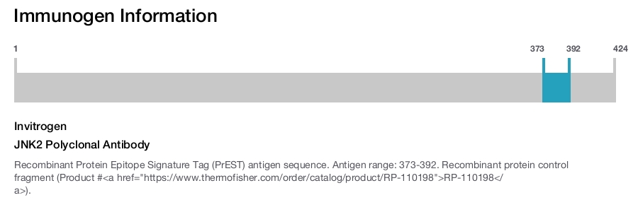 JNK2 Polyclonal Antibody