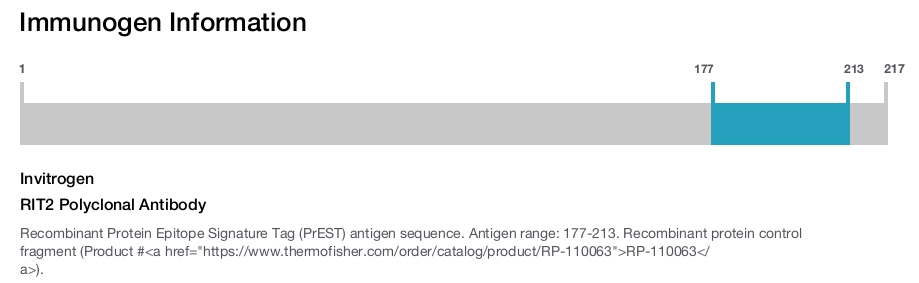 RIT2 Polyclonal Antibody