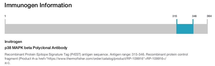 p38 MAPK beta Polyclonal Antibody