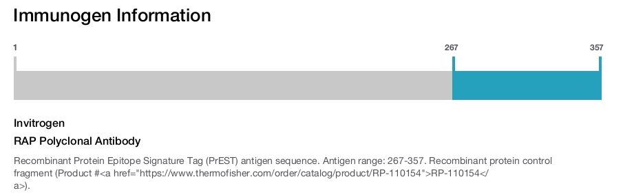 RAP Polyclonal Antibody