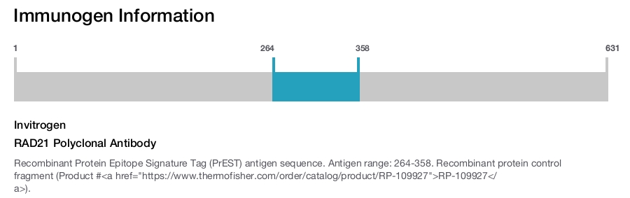RAD21 Polyclonal Antibody