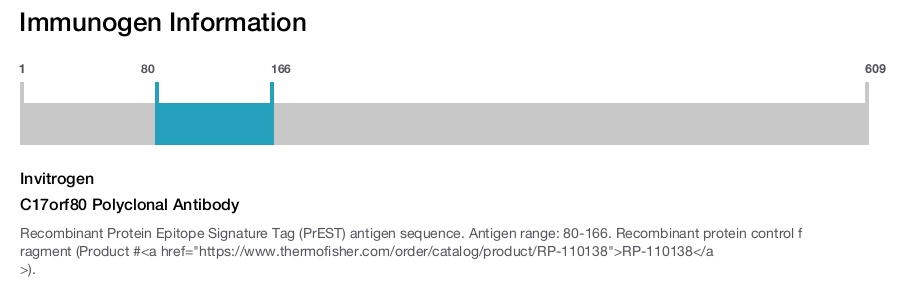 C17orf80 Polyclonal Antibody