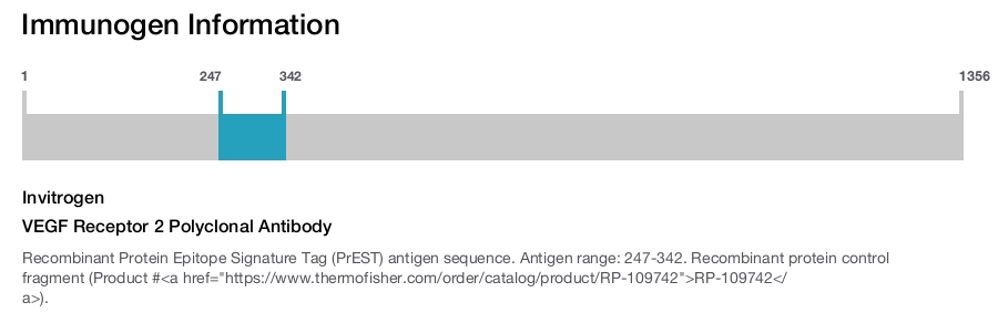 VEGF Receptor 2 Polyclonal Antibody