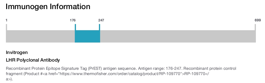 LHR Polyclonal Antibody