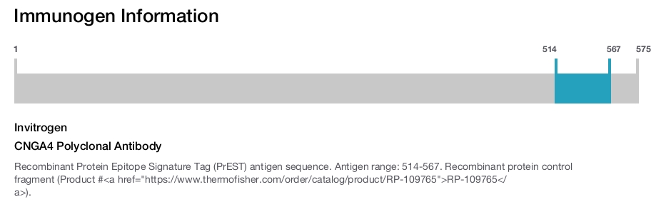 CNGA4 Polyclonal Antibody