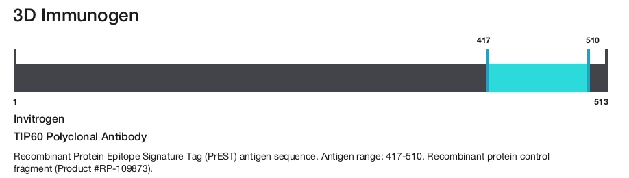 TIP60 Polyclonal Antibody
