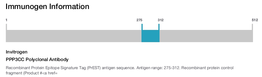 PPP3CC Polyclonal Antibody