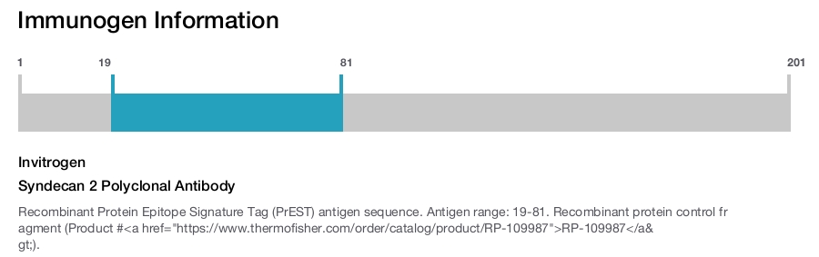 Syndecan 2 Polyclonal Antibody