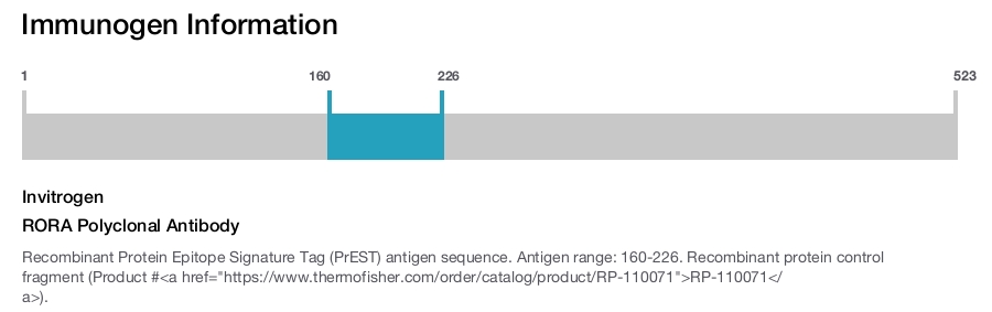 RORA Polyclonal Antibody