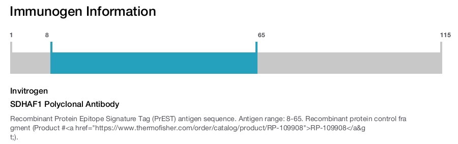 SDHAF1 Polyclonal Antibody