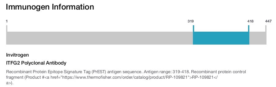 ITFG2 Polyclonal Antibody