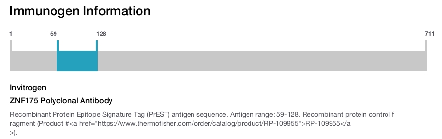 ZNF175 Polyclonal Antibody