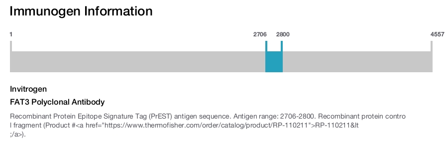 FAT3 Polyclonal Antibody