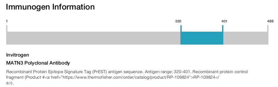 MATN3 Polyclonal Antibody