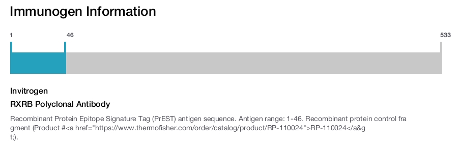 RXRB Polyclonal Antibody