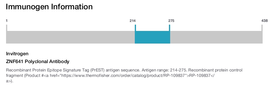 ZNF641 Polyclonal Antibody