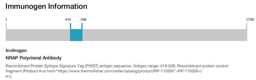 NRAP Polyclonal Antibody