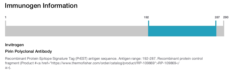 Pirin Polyclonal Antibody