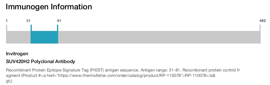 SUV420H2 Polyclonal Antibody