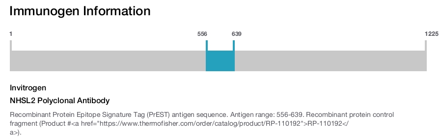 NHSL2 Polyclonal Antibody