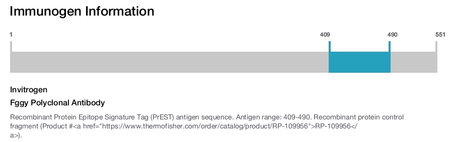 Fggy Polyclonal Antibody