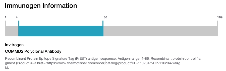 COMMD2 Polyclonal Antibody