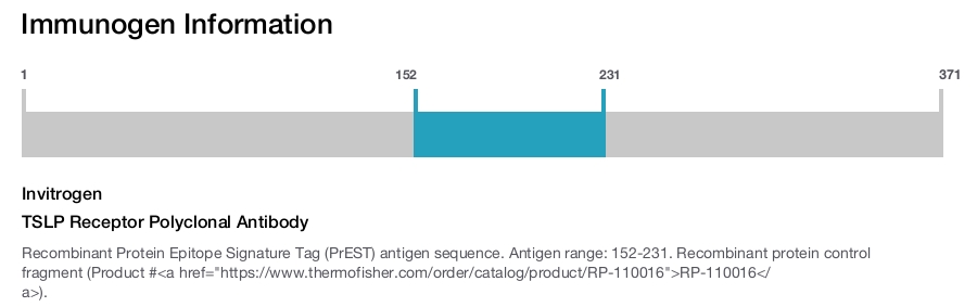 TSLP Receptor Polyclonal Antibody