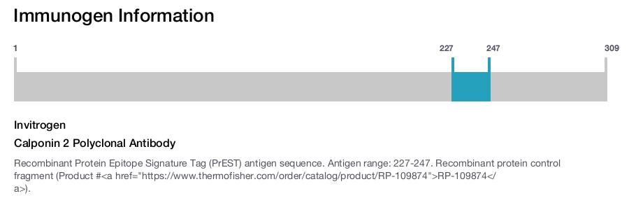 Calponin 2 Polyclonal Antibody