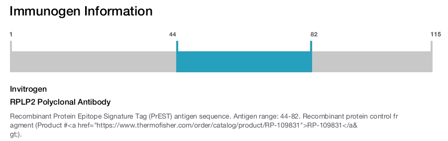 RPLP2 Polyclonal Antibody