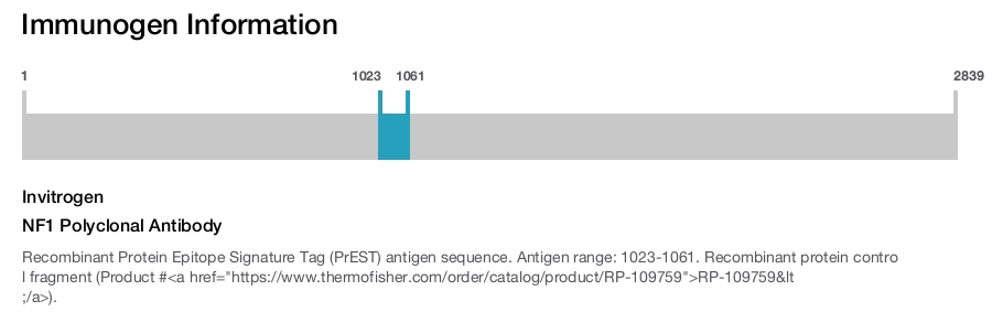 NF1 Polyclonal Antibody