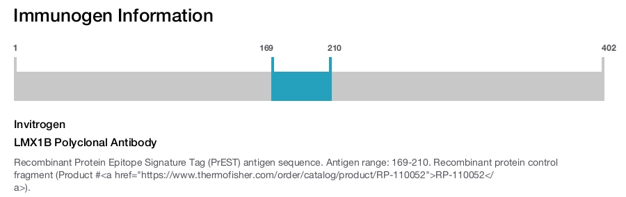 LMX1B Polyclonal Antibody