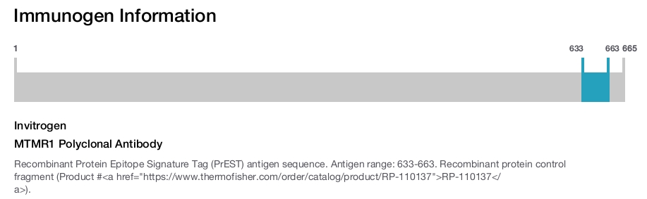 MTMR1 Polyclonal Antibody