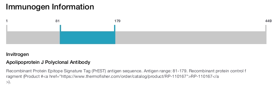 Apolipoprotein J Polyclonal Antibody