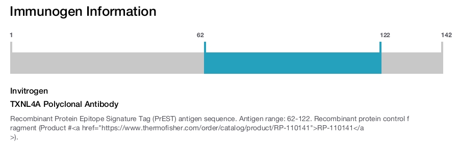 TXNL4A Polyclonal Antibody