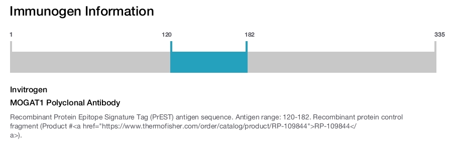 MOGAT1 Polyclonal Antibody