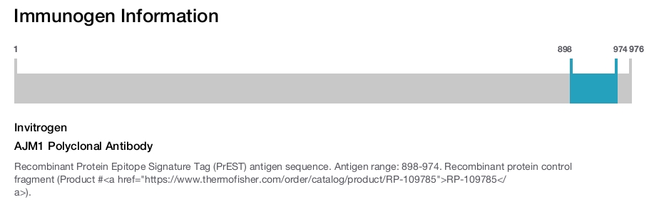 AJM1 Polyclonal Antibody