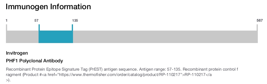 PHF1 Polyclonal Antibody
