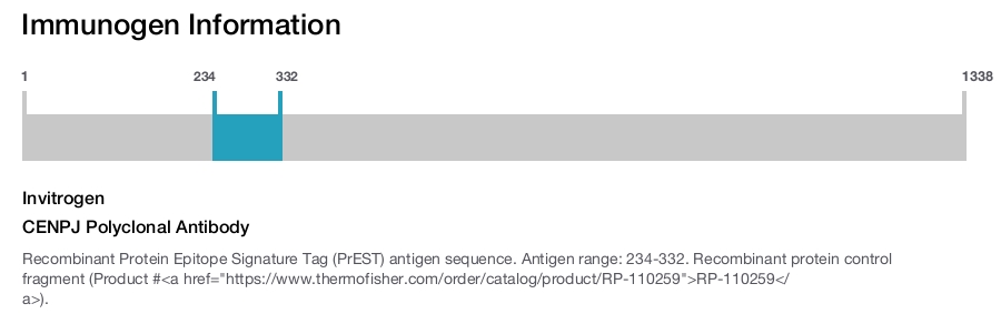 CENPJ Polyclonal Antibody