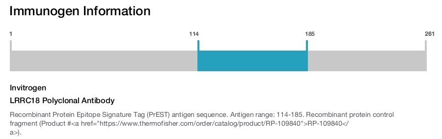 LRRC18 Polyclonal Antibody